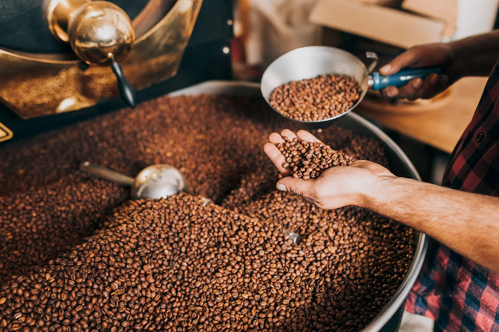 Wat is specialty coffee eigenlijk?